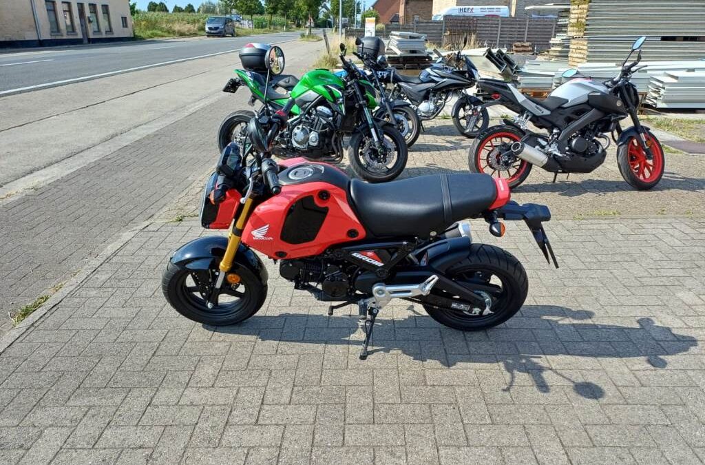 Honda	MSX125 Grom