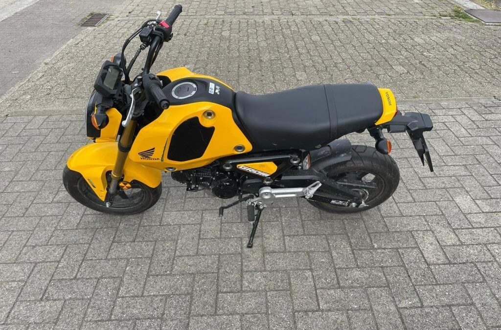 Honda	MSX125 Grom